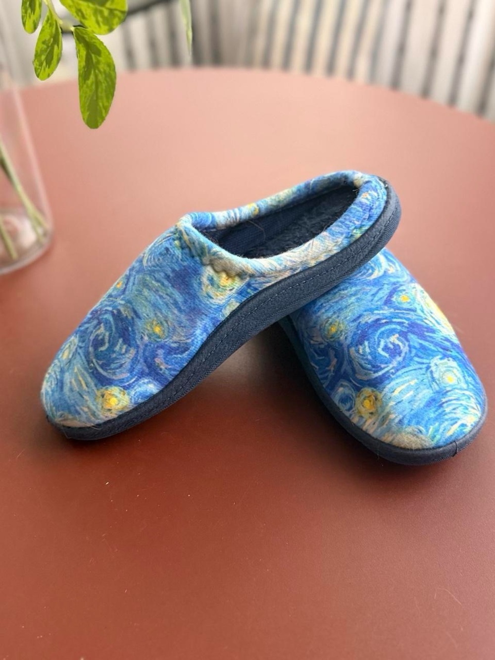 Van Gogh Starry Night Slippers